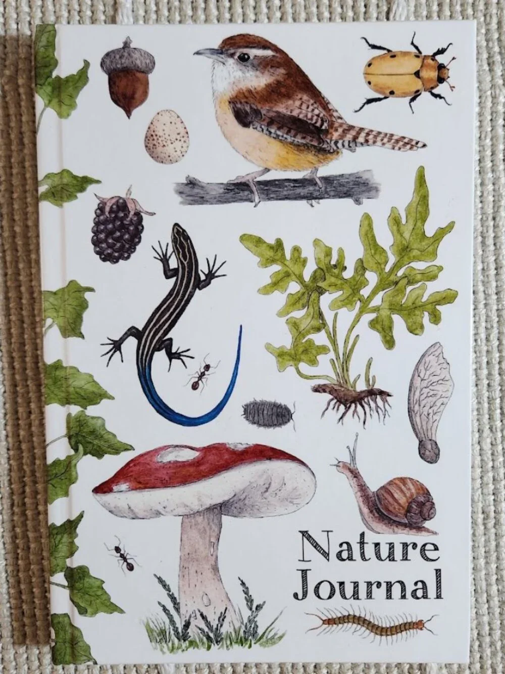 NEW Nature Journal for Kids Activity Book Notebook Hardcover Book Birdwatching B